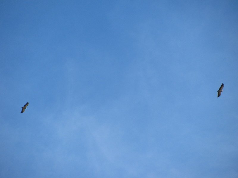 Slowenien 2010_35.jpg